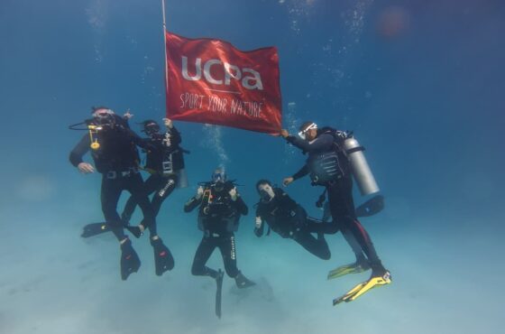 Diving trip