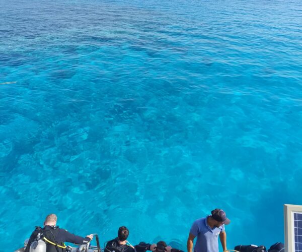 SSI Open Water Diver
