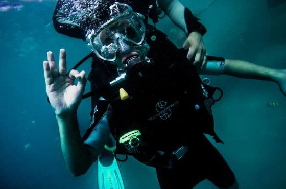 SSI Dive Guide