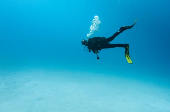 Divemaster