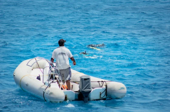 Boat Diver