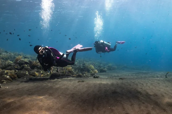 Discover Scuba Diving (DSD)