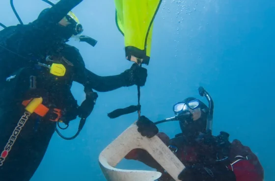 Search and Recovery Diver