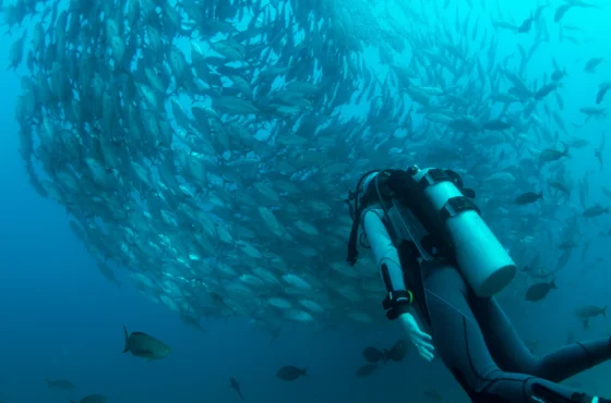 Drift Diver