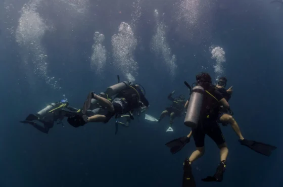 SSI Divemaster