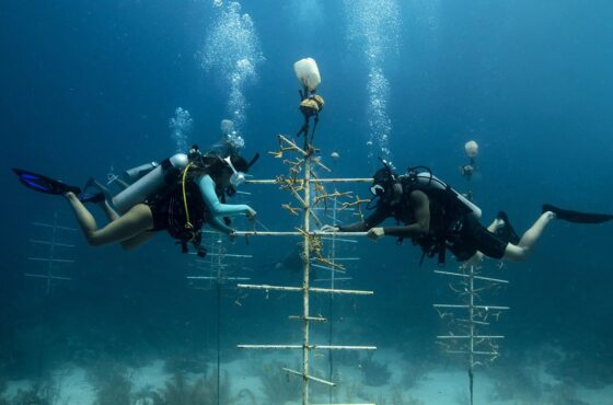 Peak Performance Buoyancy