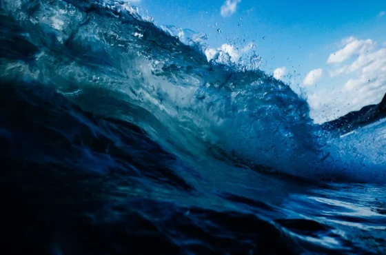 Drift Diving / Waves, Tides and Currents