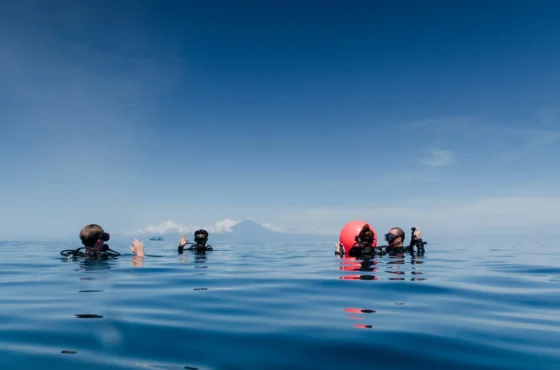 PADI Open Water Diver